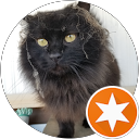 Chris Martin profile picture