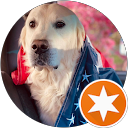 Kool Kat King profile picture