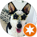 Gingerbread profile picture